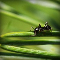 /album/tzzfnq/photolia-a05-jpg/