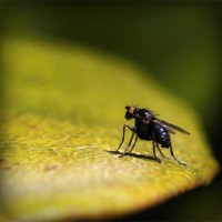 /album/tzzfnq/photolia-a07-jpg/