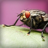 /album/tzzfnq/photolia-a08-jpg/